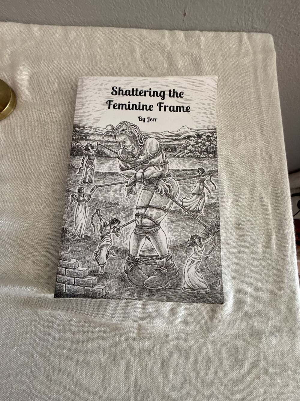 Shattering The Feminine Frame By Jerr Paperback Book